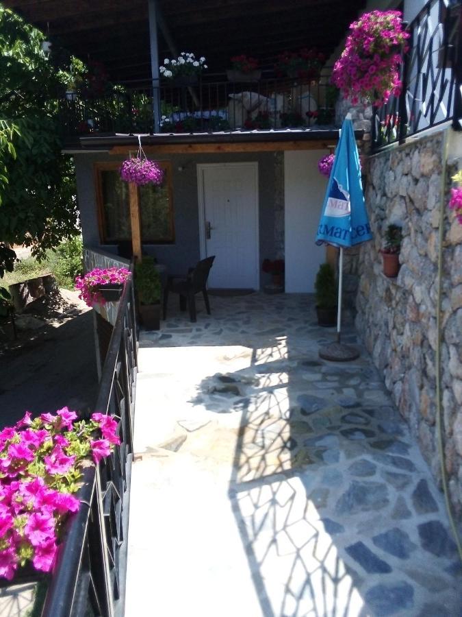 Guest House Stevovski Elshani Экстерьер фото